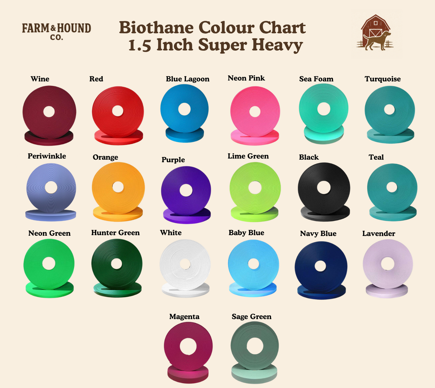 Hunting Bird Dog Buckle Collar