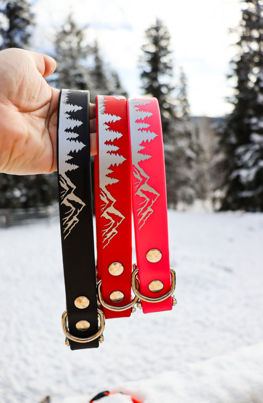 Hunting Bird Dog Buckle Collar