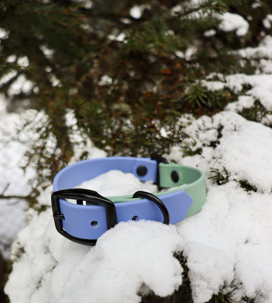 Two-Tone Buckle Collar