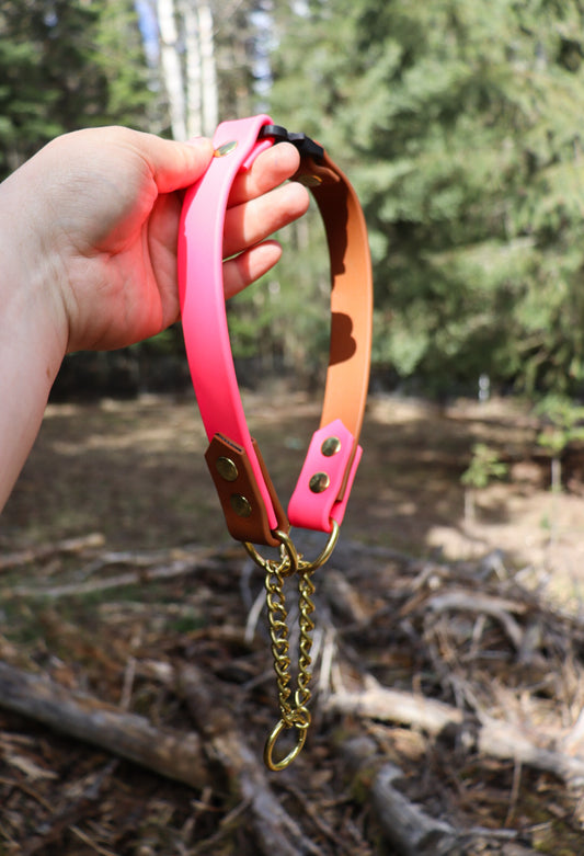 Martingale Collar With Quick Release Buckle