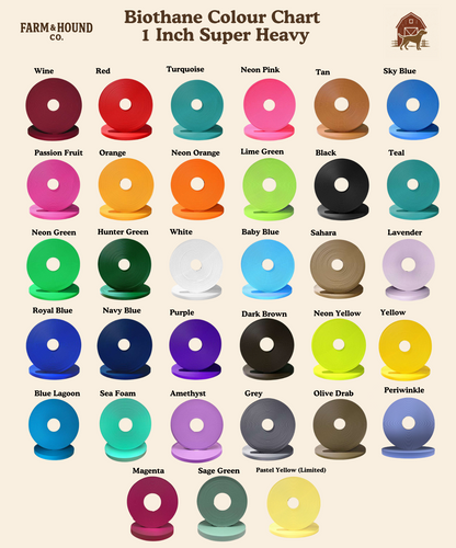 Mountain Range Buckle Collar