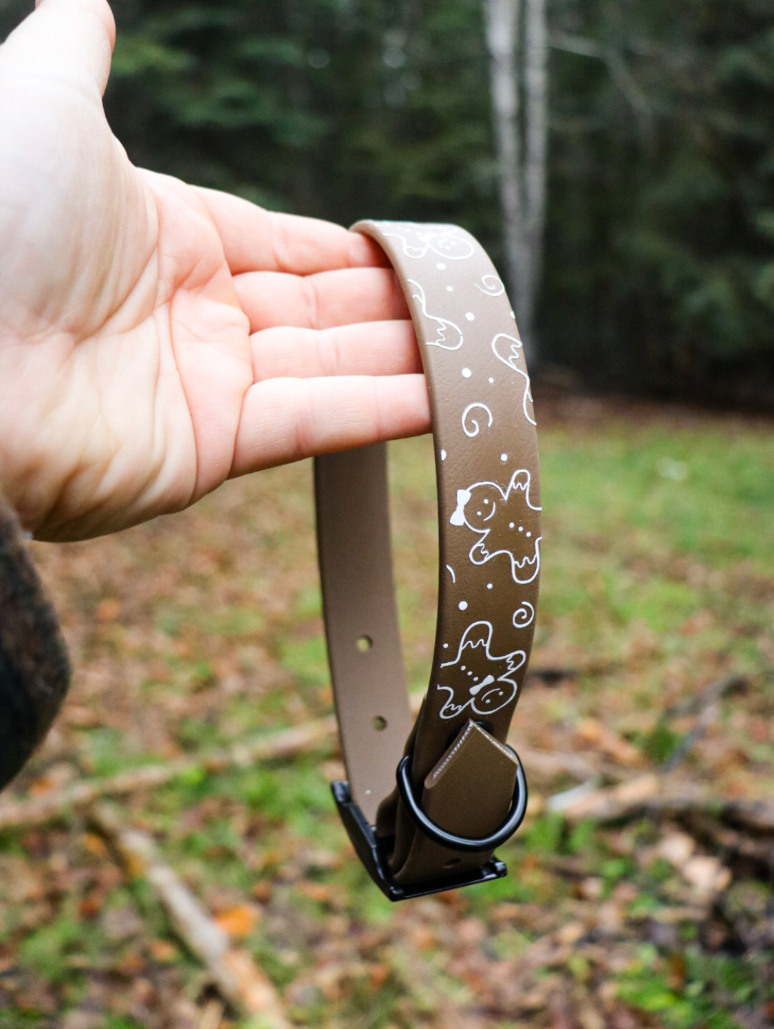 Gingerbread 1 Inch Buckle Collar