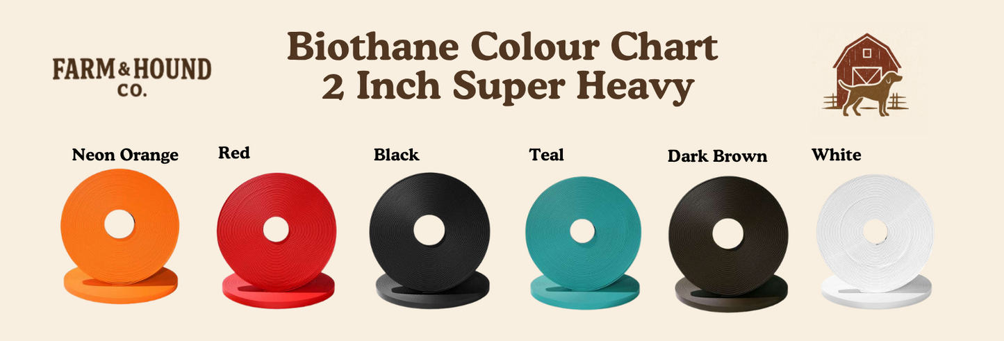 Custom Design Collar