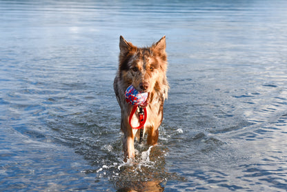 Biothane Ball Tugs 9cm