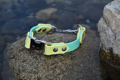 Martingale Collar With Quick Release Buckle