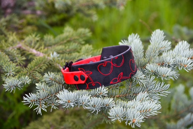 Cherry 2 Inch Buckle Collar