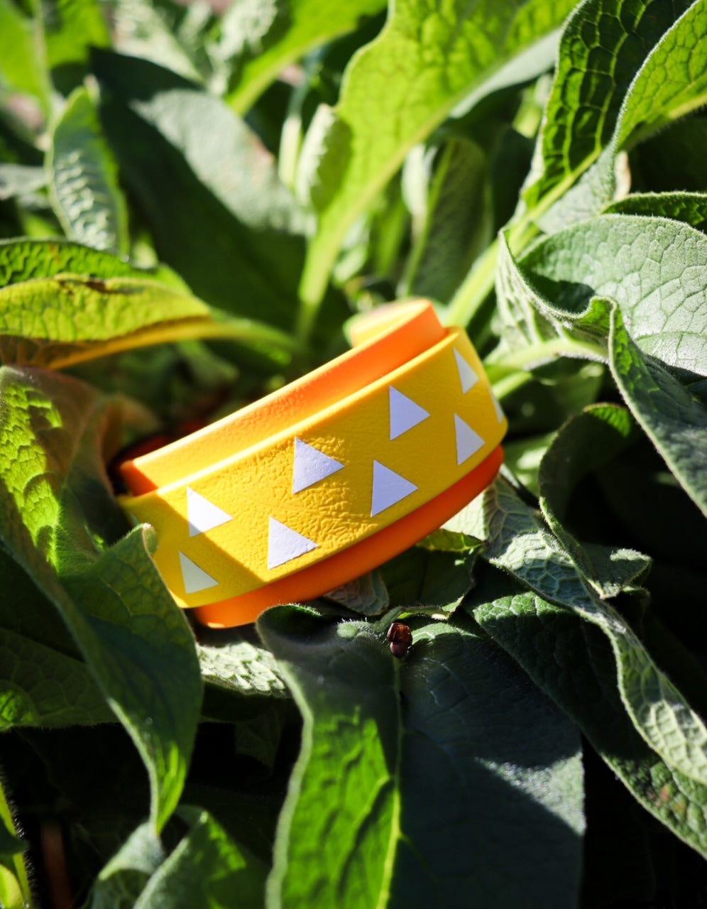 Custom Design Collar