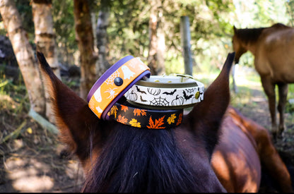 Pumpkin & Bat Buckle Collar
