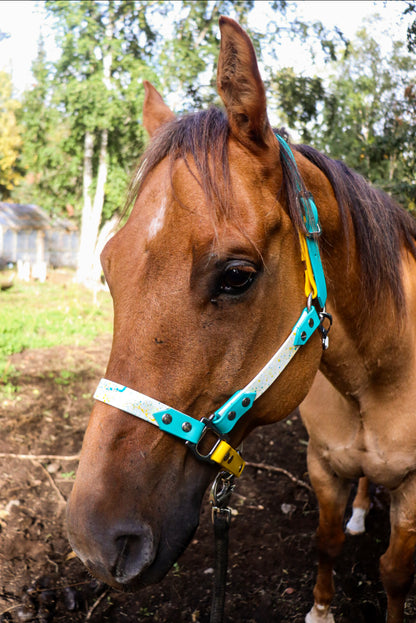 Horse Halter