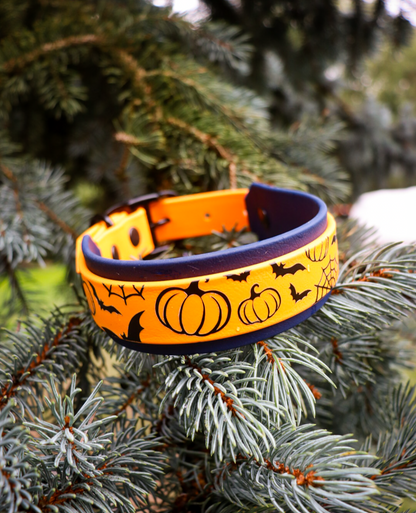 Pumpkin & Bat Buckle Collar
