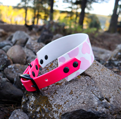 Cow 2 Inch Buckle Collar