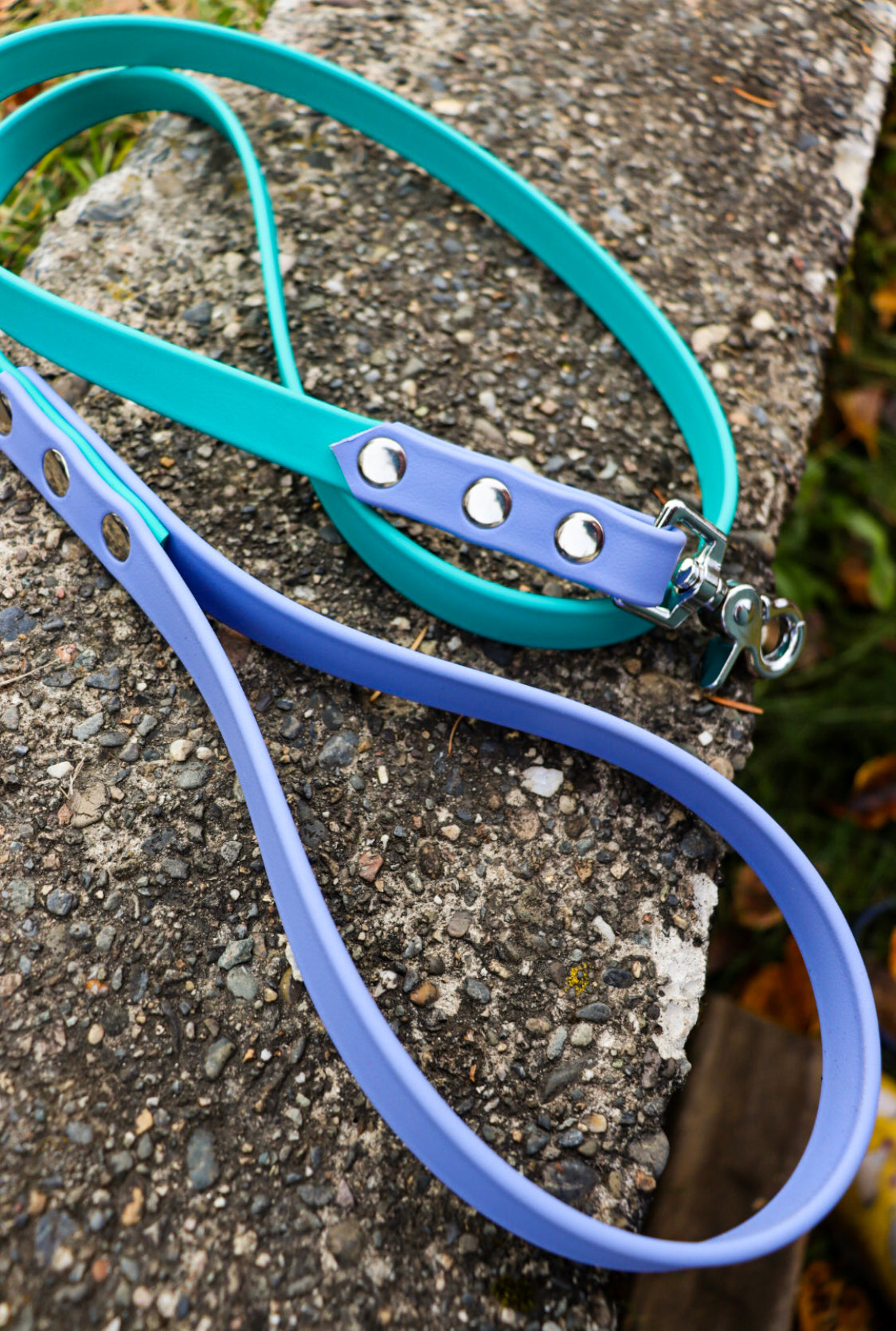 Biothane Leash