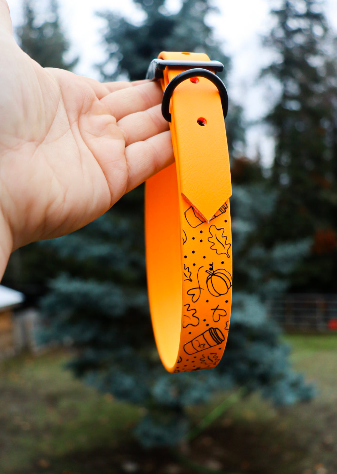 Pumpkin Spice Buckle Collar