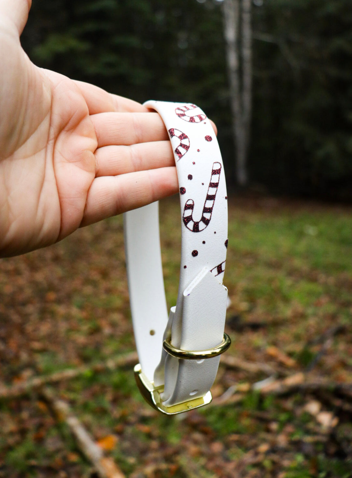 Candy Cane Buckle Collar