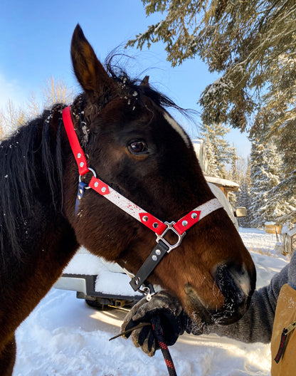 Horse Halter