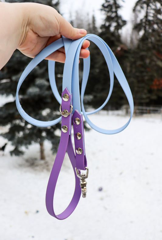 Biothane Leash