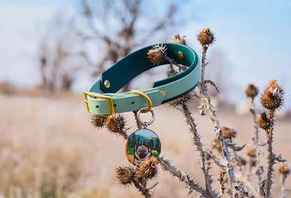 Layered Buckle Collar