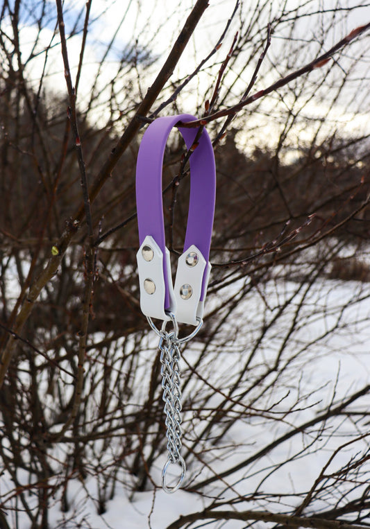 Martingale Collar