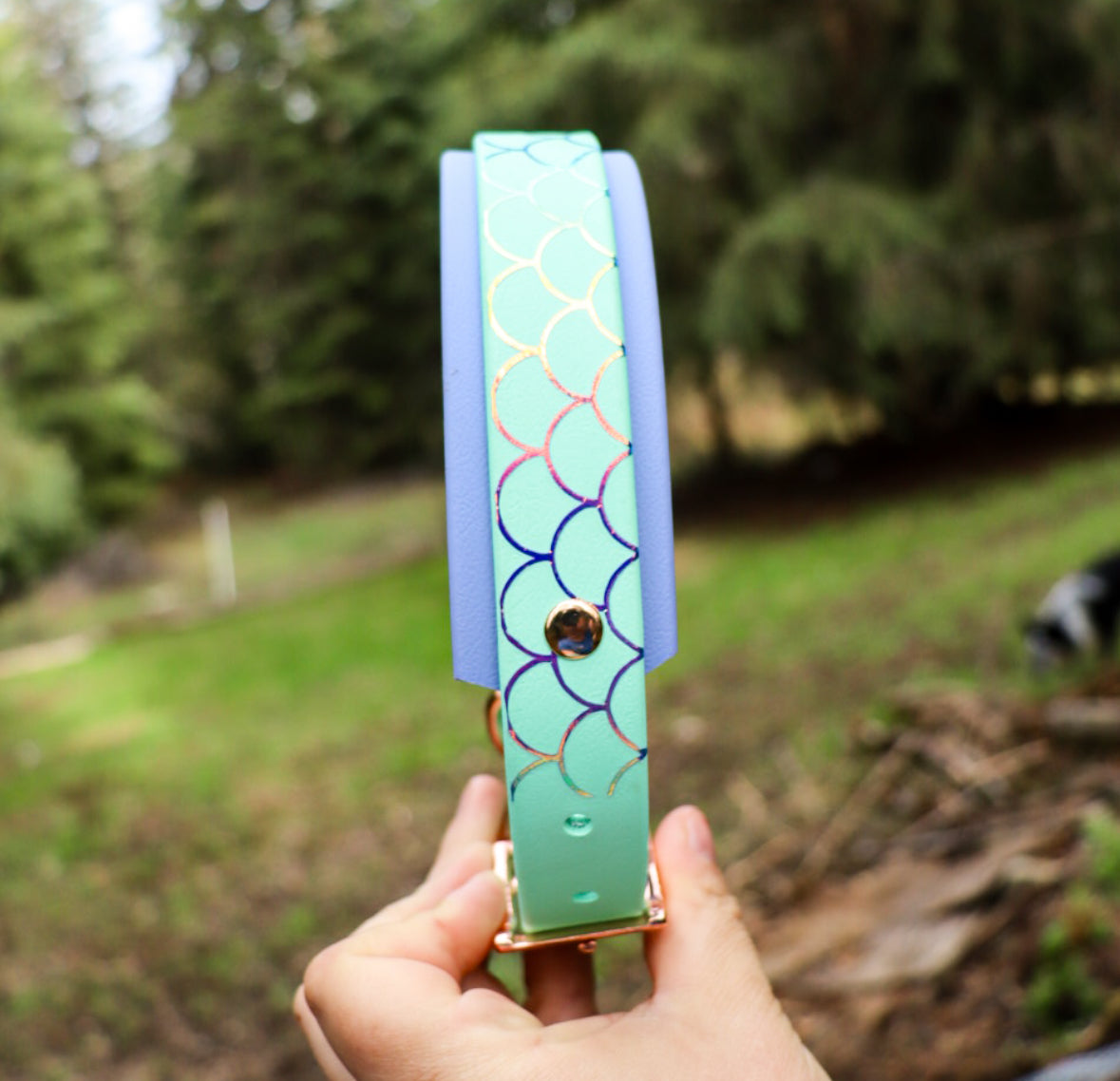 Mermaid Buckle Collar