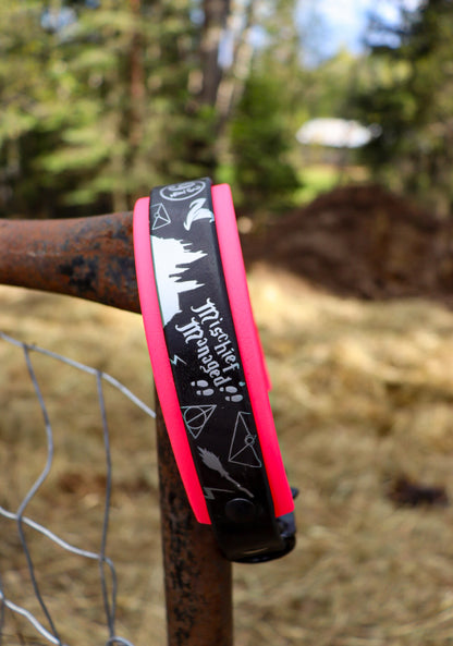 Hogwarts Buckle Collar