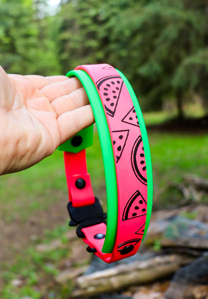 Watermelon Buckle Collar