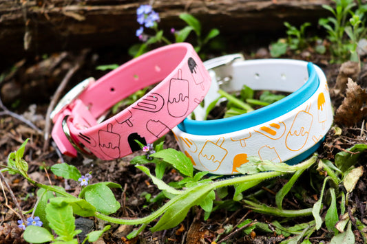 Popsicle Buckle Collar