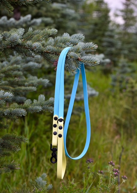 Biothane Leash