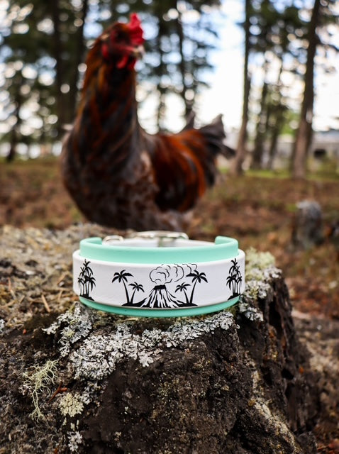 Custom Design Collar