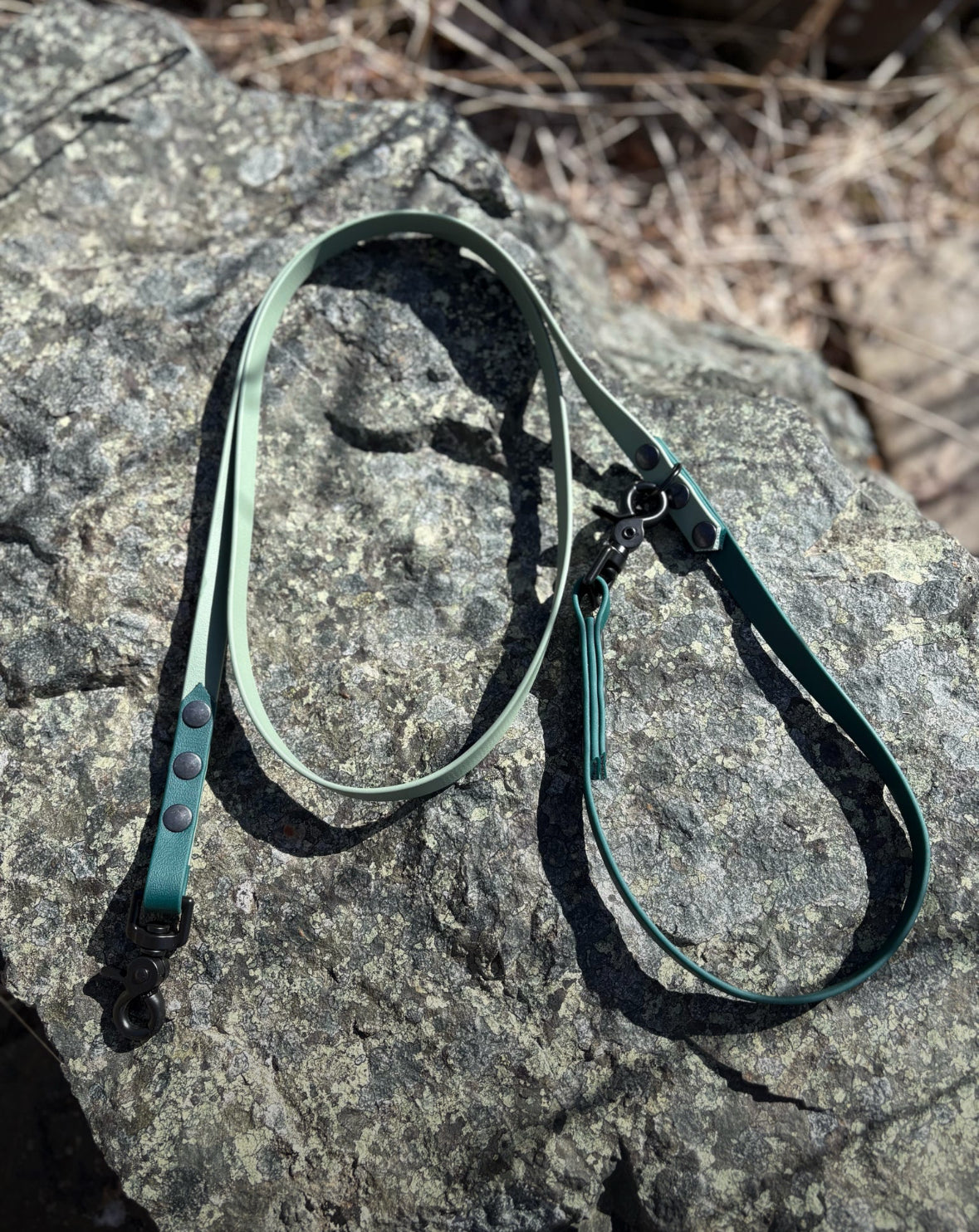 Biothane Double Clasp Leash